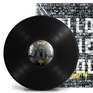 Vinyl record pressing